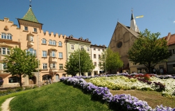 frühling-im-eisacktal-05