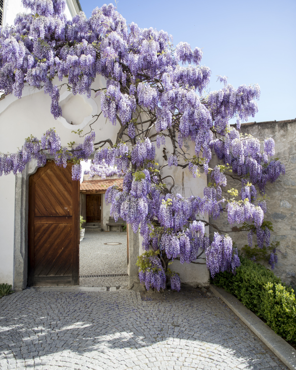 Neustift© Brixen Tourismus_Alex Filz