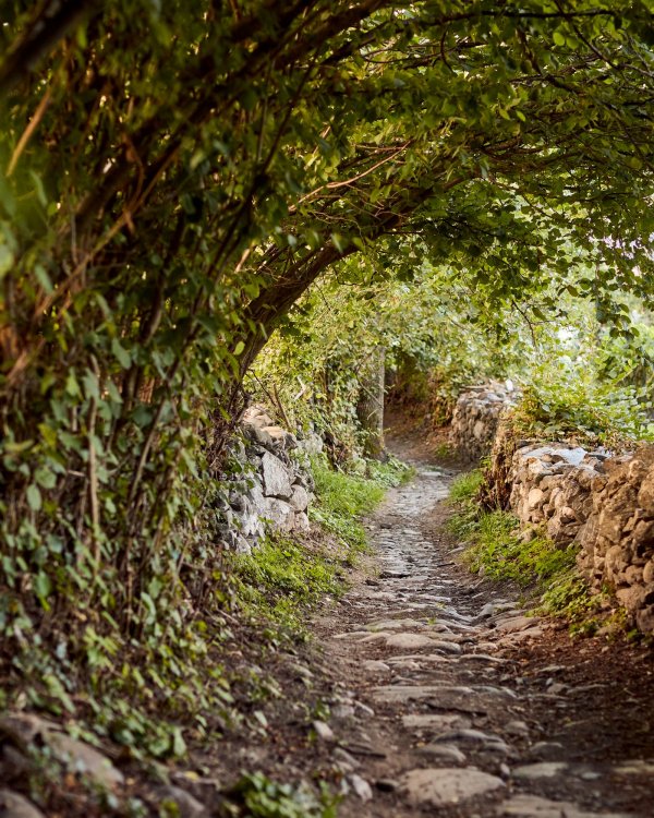 Achtsame Wanderung(c) Brixen Tourismus_Andreas Tauber_Wege (44)