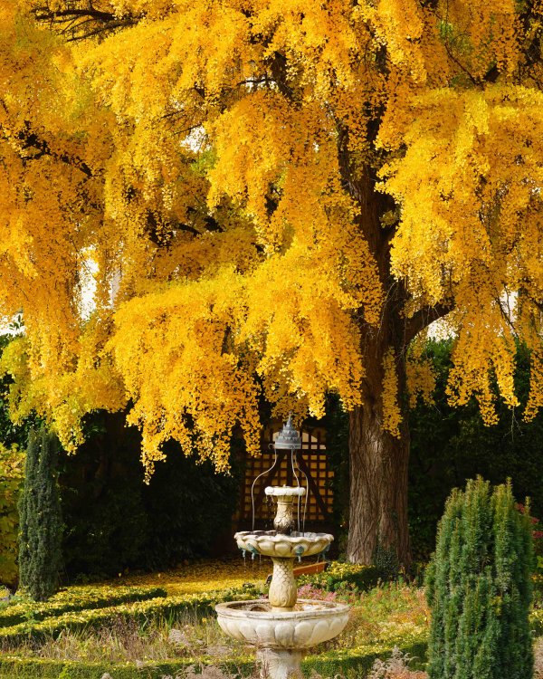 Bressanone - Abbazia di Novacella- i colori dell'autunno (c) Brixen Tourismus-Mauro Parmesani