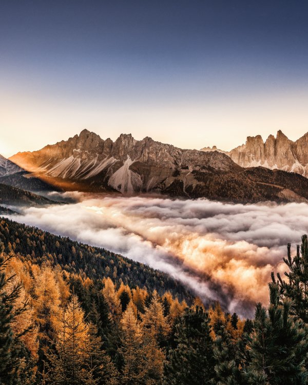 Plose Herbst - Autunno sulla Plose - Autumn on Mount Plose (c) Helmut Moling_Brixen Tourismus