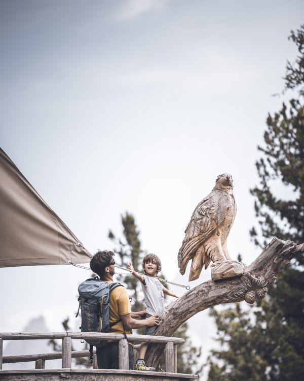 (c) Kottersteger_Brixen Tourismus_Plose Family (112)