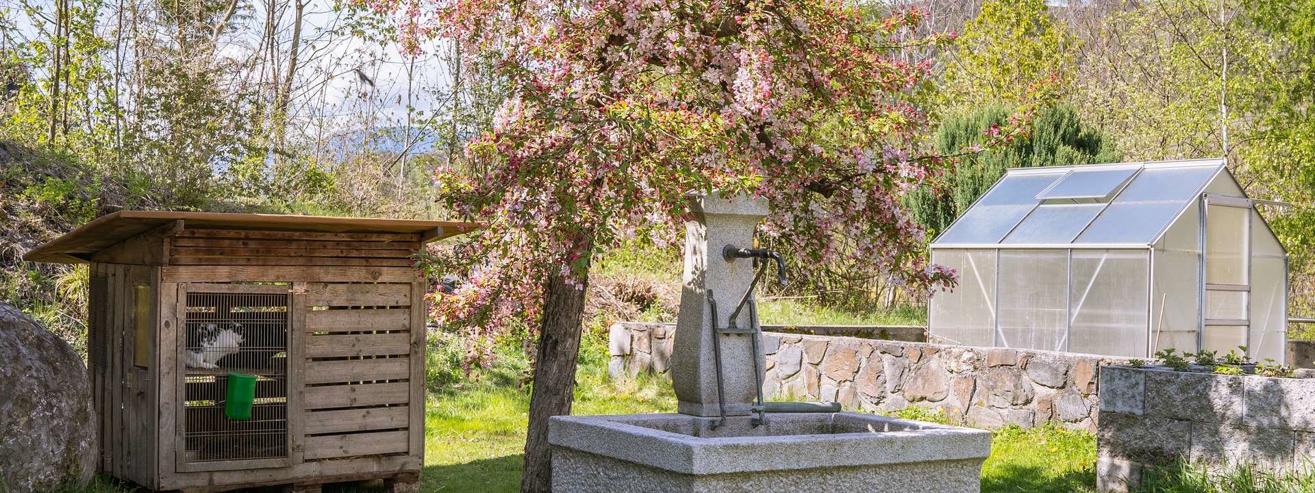 urlaub-auf-dem-bauernhof-brixen-11